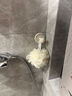 多巴胺收纳架挂钩卫生间发饰发圈发箍皮筋头绳门后无痕免打孔粘钩 粉色圆球挂钩 【拼色圆球挂钩】2个装 实拍图