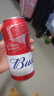 百威啤酒TOP淡色拉格450ml*18听整箱装新老包装交替发货 端午节送礼 实拍图