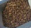 皇家猫粮 英短幼猫粮 BSK38 4-12月 10KG 实拍图