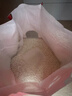 舒肤佳健康净护沐浴露 650g*3(纯白清香+柠檬香+樱花香) 滋润保湿 实拍图