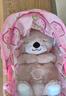 费雪（Fisher-Price）婴儿玩具安抚玩偶哄睡生日礼物-音乐安抚酣睡小水獭GHL41 实拍图