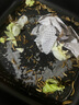 KERRY面包虫活体饲料黄粉虫鸟鱼龟蜥蜴金龙鱼鬃狮蝎子守宫食物幼体幼虫 试吃装400条镊子麦麸【80%选择】 实拍图