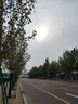 墨斗鱼墙纸自粘墙贴墙围软包隔音铝箔壁纸防潮加厚亚麻纹0.5*2.8米 白色 实拍图