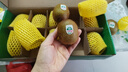 佳沛（zespri）绿奇异果10个装 宝宝果单果约77-89g 水果猕猴桃包邮 实拍图