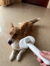HELLOJOY猫梳子猫咪去浮毛专用猫毛清理器除毛器梳毛刷神器狗狗宠物用品 实拍图