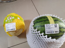 东方蜜甜瓜单粒 600g 实拍图