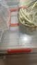 京东京造 医药箱 家用多功能药品收纳盒便捷大容量带提手大号 1只装 实拍图