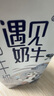 君乐宝（JUNLEBAO）遇见奶牛全脂纯牛奶 200mL*24盒整箱 营养早餐家庭量贩 实拍图