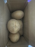 仙果春天土豆新鲜2025新土豆农家马铃薯黄皮黄心包邮 土豆2斤 实拍图