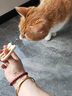 HELLOJOY猫咪指甲剪专用小盲剪狗狗指甲钳小猫指甲钳圆孔新手防抓防咬 实拍图