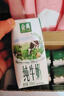 伊利金典纯牛奶整箱 200ml*24盒 3.6g乳蛋白 原生高钙 礼盒装 实拍图