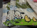 卡通帆布包新款小巧百搭手提袋女学生饭盒袋简约袋子时尚便当袋 卡通【绿色小狗】 实拍图