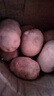 【真便宜】红皮土豆高原黄心土豆马铃薯红皮黄心洋芋 蔬菜水果 红皮土豆 3斤 单果1-3两 实拍图