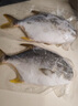 翔泰 海南金鲳鱼净重900g 2条装  鱼类生鲜 烧烤 火锅食材 海鲜水产 实拍图