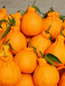 正宗四川不知火丑橘新鲜整箱水果应当季粑粑丑八怪柑橘耙耙桔子 中果 【果径70-75mm】实惠装 9斤 实拍图