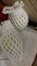 粤迎冰淇淋玉菇甜瓜新鲜水果当季香瓜冰淇淋脆甜哈山东香瓜孕妇可吃 净4.5-5斤精选果【单果411g+】 实拍图