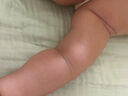 美素佳儿皇家2段（FrisoPrestige）幼儿配方奶粉2段（6-12月龄幼儿适用） 2段 400g 1罐 （品牌新客） 实拍图