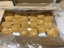 佳沛（zespri）新西兰  阳光金奇异果10粒礼盒巨大果单果约144-175g 水果 猕猴桃 实拍图