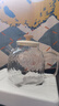 小熊（Bear）全玻璃壶体养生壶恒温壶 办公室多功能煮茶壶花茶壶 0金属养生杯 24h预约24h保温 1L YSH-M10H3 实拍图