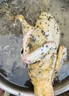 三个小厨全自动家禽拔毛器电动去鸡鸭鹅毛神器多功能防水充电加商用脱毛机 大功率至尊款/耐磨锥头/快速拔毛 实拍图