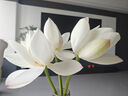 奥妙（OMO） 除菌除螨酵素洗衣液12斤（3kg*2）72小时抑菌 99%除螨 家庭必备 实拍图