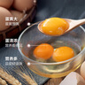 京喜加土鸡蛋 新鲜鸡蛋 山林自养鸡蛋40g正负5g早餐买菜溏心蛋京东包邮 鲜鸡蛋30枚 实拍图