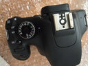 佳能/Canon 500D 600D  700D 750D 760D 800D 二手单反相机 95新 95新 佳能550D/18-55   防抖 套机 套机 实拍图