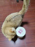 麦富迪 猫条冻干猫零食 湿粮猫罐头成幼猫猫条混合味840g（14g*60支） 实拍图