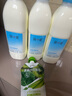 简爱原味裸酸奶 1.08kg*1瓶 家庭装大桶酸奶 生牛乳发酵 乳酸菌早餐奶 实拍图
