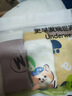 棉奇熊男童内裤儿童纯棉四角短裤宝宝中大童男孩男小童平角裤95%棉4条装 萌宠柯基-精梳纯棉无骨款- 4条 100 -S码【体重15-25斤】 实拍图
