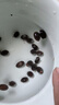 肉总管【四季种植】碗莲种子水培植物室内绿植盆栽彩色睡莲荷花种子花卉 混色碗莲15粒+营养液 实拍图