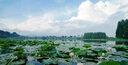 京东京造 电动鼻毛修剪器充电式 修鼻毛神器鼻毛剪刀剪鼻毛器【不伤鼻腔 超长续航】男士生日礼物 男 实拍图