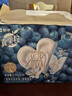 蒙牛真果粒【敖丙礼盒】接骨木风味+真实蓝莓果粒酸奶饮品230g×10瓶 实拍图