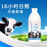 天润（TERUN）TERUN 新疆产地 鲜牛乳3.8g巴氏杀菌鲜奶家庭生鲜装950ml*1瓶  实拍图