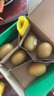 佳沛（zespri）新西兰  阳光金奇异果6粒装 单果约77-103g  源头直发  猕猴桃 实拍图