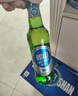 崂山啤酒（laoshan beer）精品经典 316ml*24瓶 青岛崂山啤酒 传统工艺酿造 316mL 24瓶 整箱装 实拍图