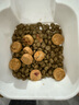 LEGENDSANDY蓝氏狗粮真鲜乳鸽中小型犬泰迪比熊生骨肉冻干鲜肉犬粮1.5kg3斤 实拍图