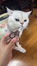 多格漫日本NS猫咪狗狗指甲剪 宠物用品大小号指甲钳指甲刀 ns系列猫用指甲剪（咖啡色） 实拍图