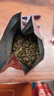 王德传茶庄 WANG DE CHUAN金萱乌龙茶 台湾原装进口品种茶 淡雅甜柔 纯料茶 简装100g*1袋 实拍图
