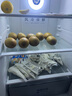 君乐宝 简醇 0添加蔗糖 150g *16袋 低温酸奶酸牛奶 生鲜 健康轻食 实拍图