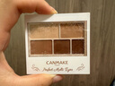CANMAKE日本砍妹canmake井田五色哑光眼影盘日常妆百搭显色05便携大地色 05杏仁奶咖 实拍图