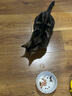 阿飞和巴弟猫粮E76大健康版本益生菌全价冻干双拼猫粮成猫幼猫粮2kg 实拍图