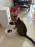 KONOKO宠物湿巾猫咪擦眼去泪痕除臭味狗狗用品全身免洗清洁专用湿纸巾 实拍图