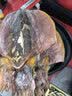哈合家乐浙江舟山东海野生大墨鱼干货500g特级淡晒干煲汤乌贼海鲜新货送礼 大墨鱼礼盒装 7~8个（一斤装） 实拍图