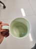 彩致（CAIZHI）马克杯家用陶瓷水杯学生泡茶杯办公室咖啡杯 奶油绿CZ6788 实拍图