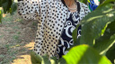 京润珍珠韵华925银淡水珍珠项链女近圆强光妈妈款送长辈生日实用礼物 实拍图