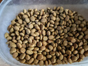 皇家绝育成猫粮 SA37通用粮 1-7岁2KG 实拍图