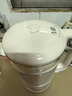 九阳破壁机1.2L家庭容量豆浆机 双层降噪隔音杯浆预约时间可做奶茶一键清洗全自动榨汁机料理机D361 实拍图