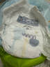 babycare Air pro拉拉裤成长裤XXXL24（＞17kg) 婴儿尿不湿夏日超薄透气 实拍图