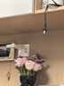 京东鲜花鲜花盲盒4束基地直发品质玫瑰花百合花向日葵生活鲜花源头直发 实拍图